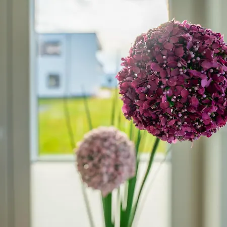 Lejlighed Hangar 19 Superior Mit Terrasse Und Garten H1w2 Schwerin (Mecklenburg-Vorpommern)