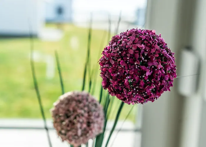 Hangar 19 Superior Mit Terrasse Und Garten H1w2 Schwerin (Mecklenburg-Vorpommern)