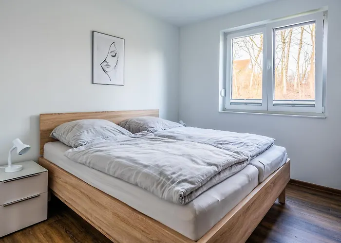 Hangar 19 Superior Mit Terrasse Und Garten H1w2 Schwerin (Mecklenburg-Vorpommern)