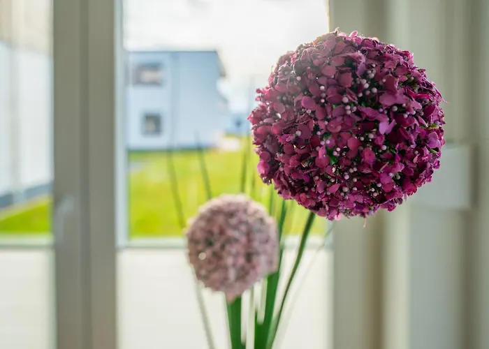 Lägenhet Hangar 19 Superior Mit Terrasse Und Garten H1w2 Schwerin (Mecklenburg-Vorpommern)