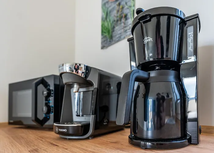 Hangar 19 Superior Mit Terrasse Und Garten H1w2 *